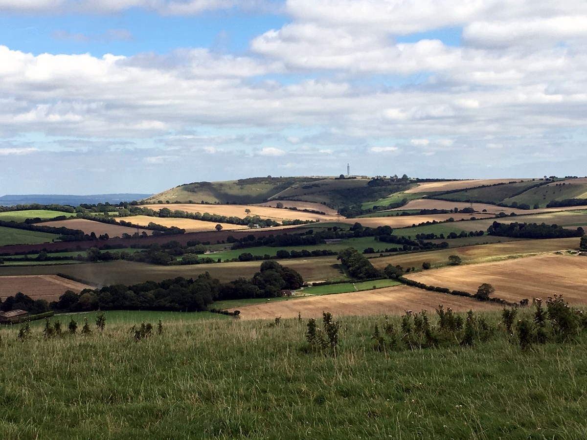 South Downs National Park Views of Butser Hill